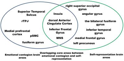 The role of self-representation in emotional contagion